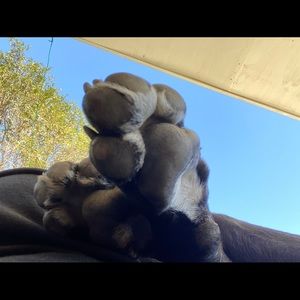 Meet your Posher, Arisbeth